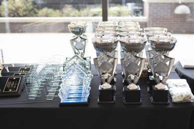 pillars of excellence awards